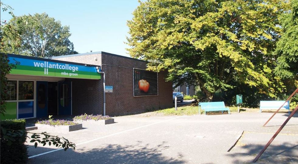 Openavond Wellantcollege Rijswijk Mbo