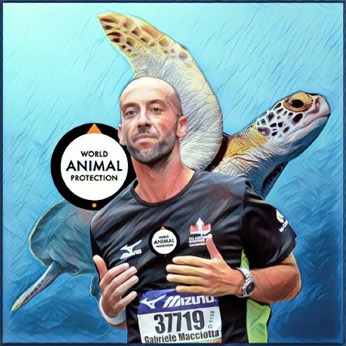Rijswijkse dierenarts loopt halve marathon