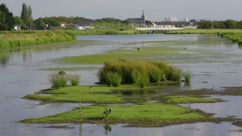 Geen dure weg en extra parkeerplaatsen voor recreatiegebied Ruyven