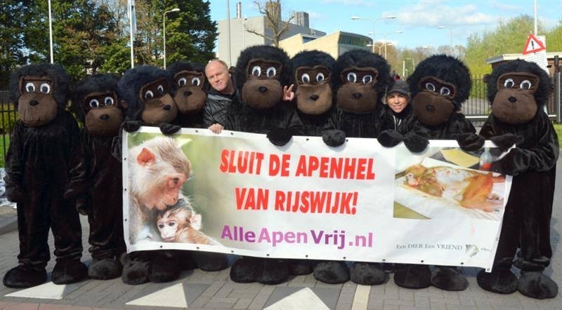 Petitie voor 1500 Rijswijkse apen staat al op 1800