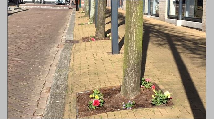 Eerste Boomspiegel in Rijswijk gesignaleerd