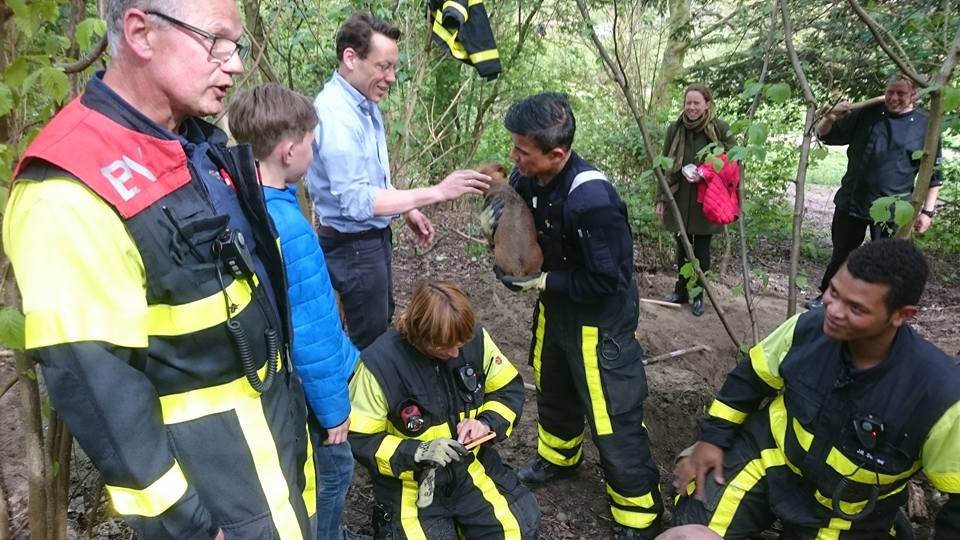 Brandweer bevrijdt hond uit konijnenhol