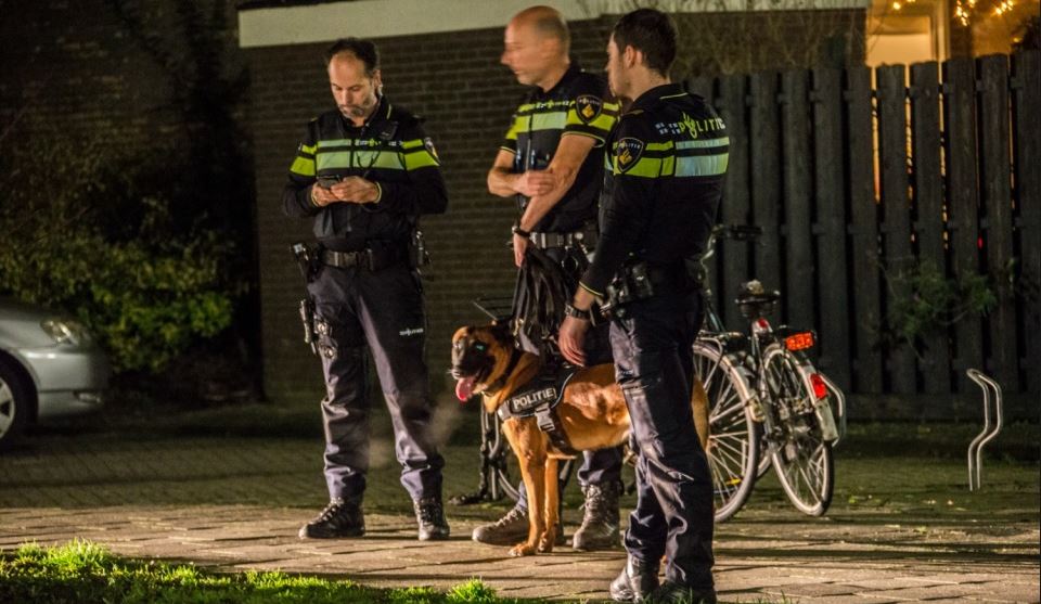 Politiehond bijt verdachte inbraak in Plaspoelpolder 