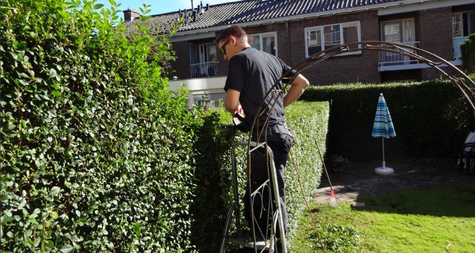 Tuinvrijwilligers gezocht door mede Rijswijkers