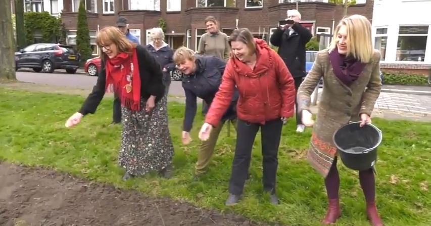 Film over inzaaien Vlinderidylle