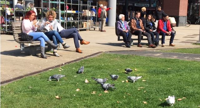 Zomerse dag in De Bogaard
