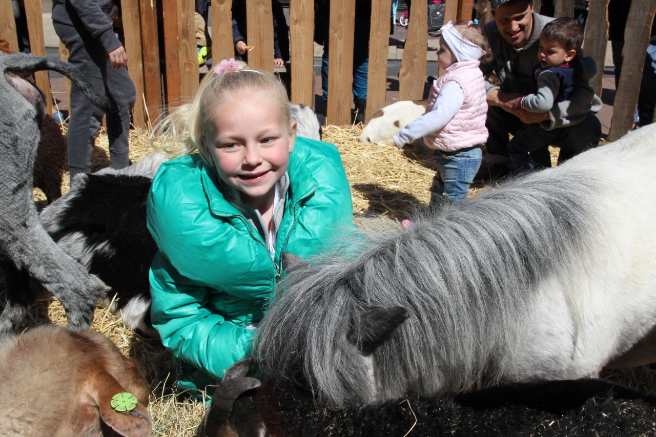 Zomers evenement ‘Zin In de Bogaard’