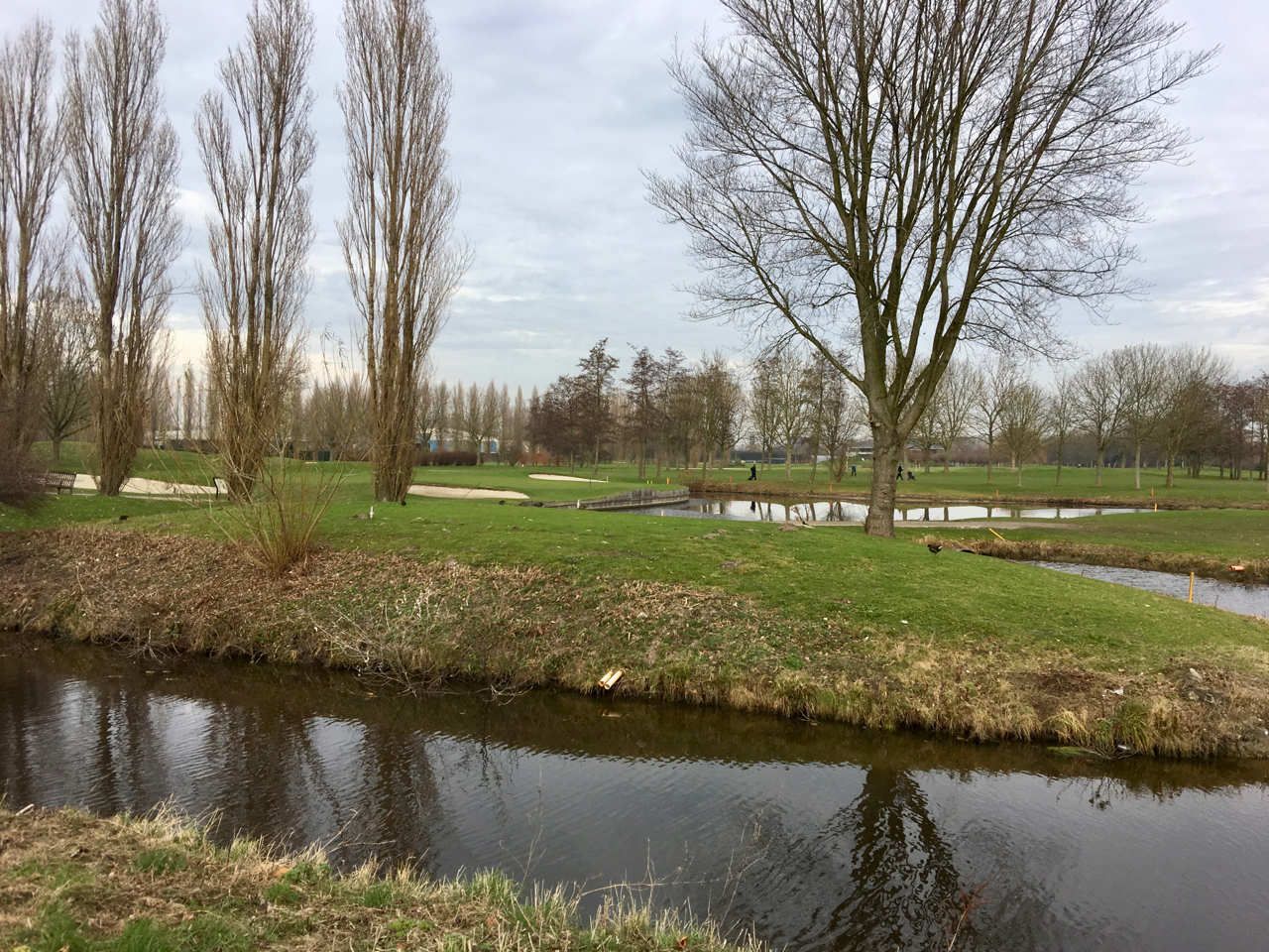 Vogels tellen bij de Rijswijkse golfclub
