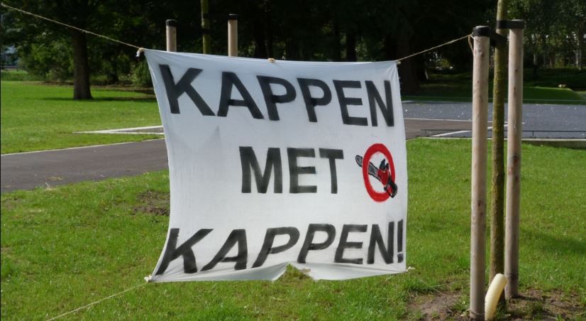 Beter voor Rijswijk bezorgt over grote bomenkap