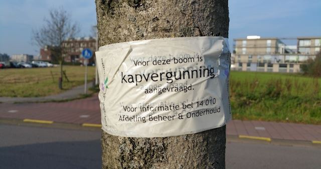 Markering bij bomenkap geregeld