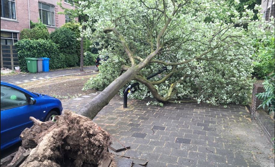 Veel stormschade, ook in Rijswijk Veel stormschade, ook in Rijswijk