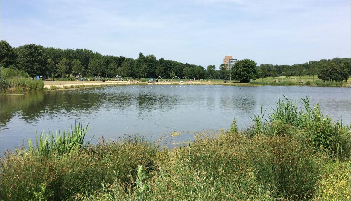 Lekker zwemmen in zwemplas Wilhelminapark
