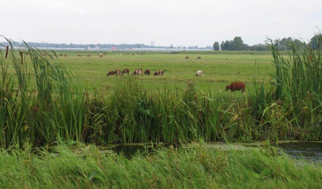 Kbo gesponsord door de Rabobank bij een kilometer afstand fietstocht