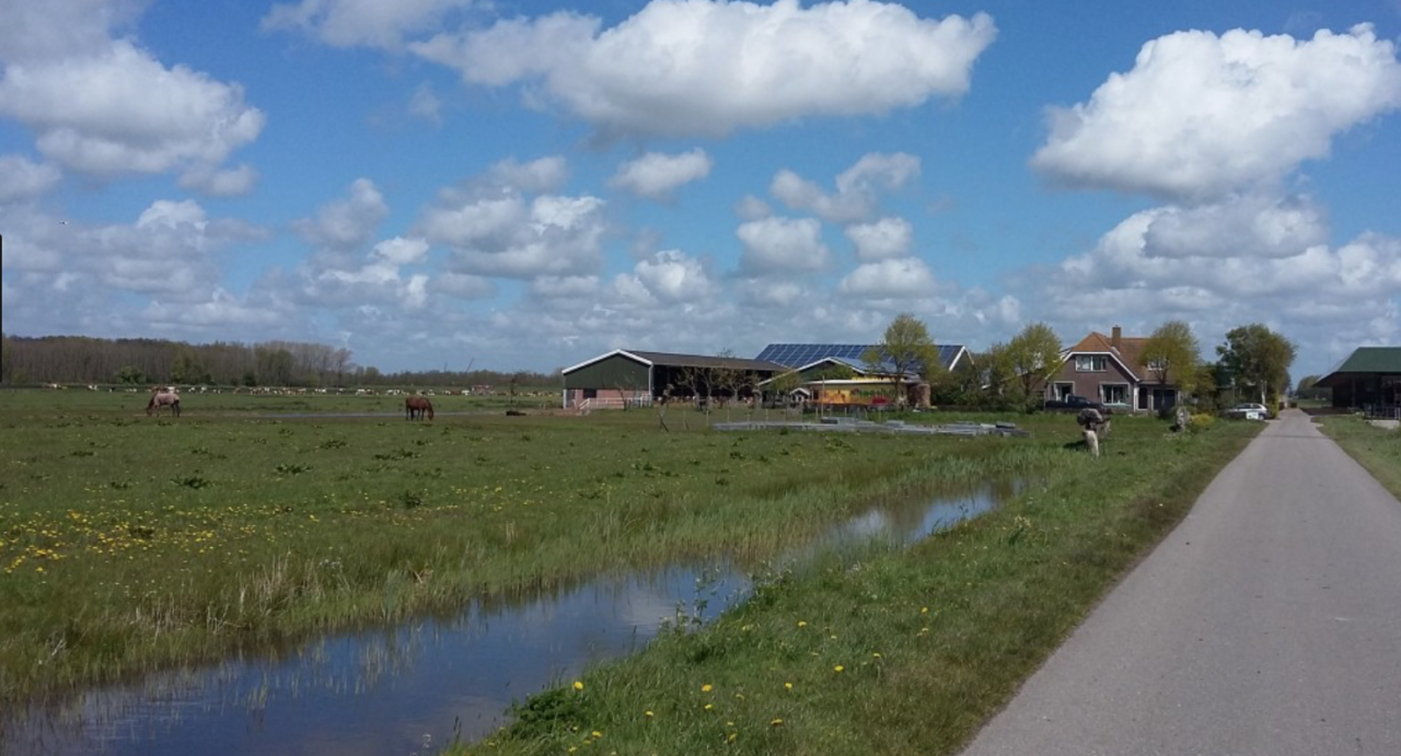 Dode vissen na brand in Delfgauw