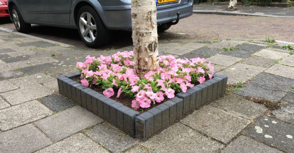 Weinig boomspiegels in Rijswijk
