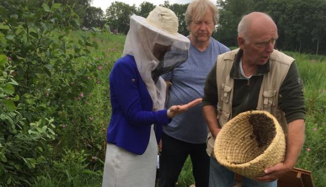 Bijenvolkje van RijswijkBuiten doet het goed