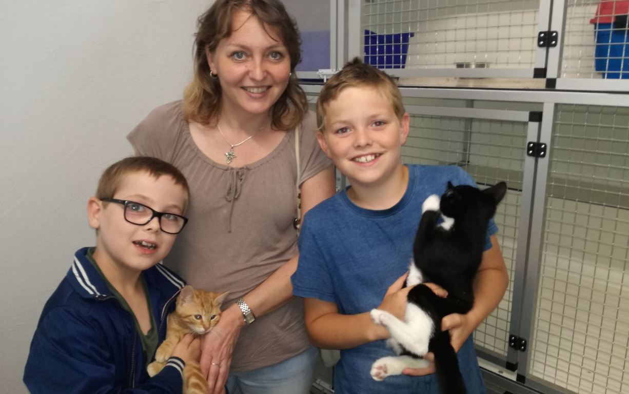Eerste gevonden katten zijn alweer geplaatst