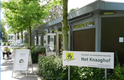Dertien konijnen dood; opvang Het Knaaghof dicht