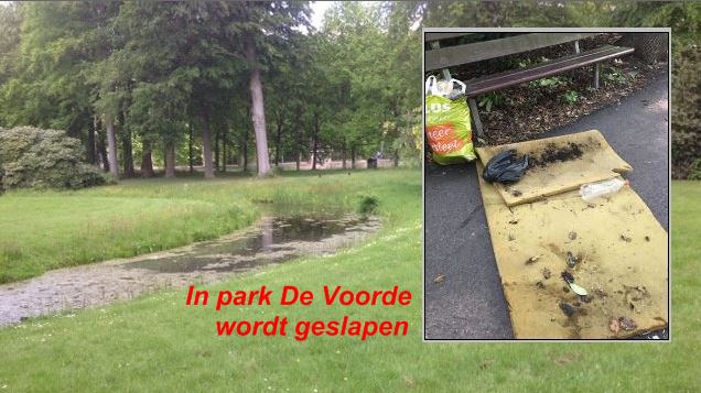Wat doet Rijswijk met haar parkslapers