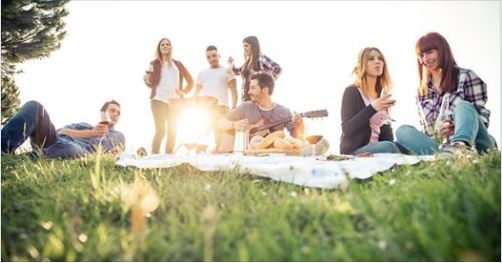 Picknick in het Park van de Bomenbuurt