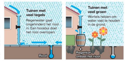 Tegeltaks oplossing voor Rijswijkse verstening
