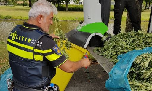 UPDATE: Wijkagent Uzi O haalt draden uit wietplanten