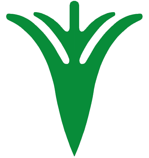 Cursus Tekenen naar de natuur