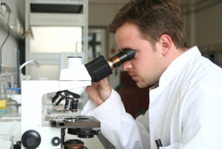 Cursus Maak kennis met de microscoop