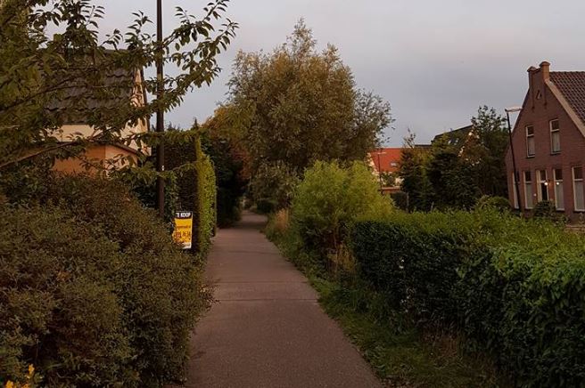 Bewoner De Strijp vraagt hondenpoepbakken