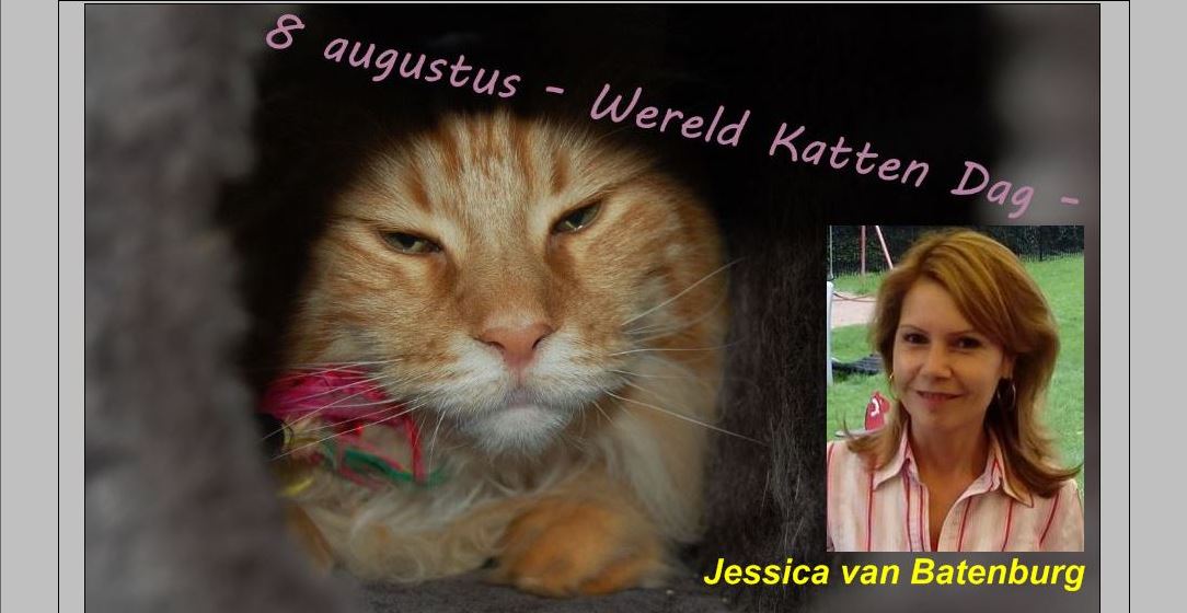 Vandaag is het Internationale kattendag  