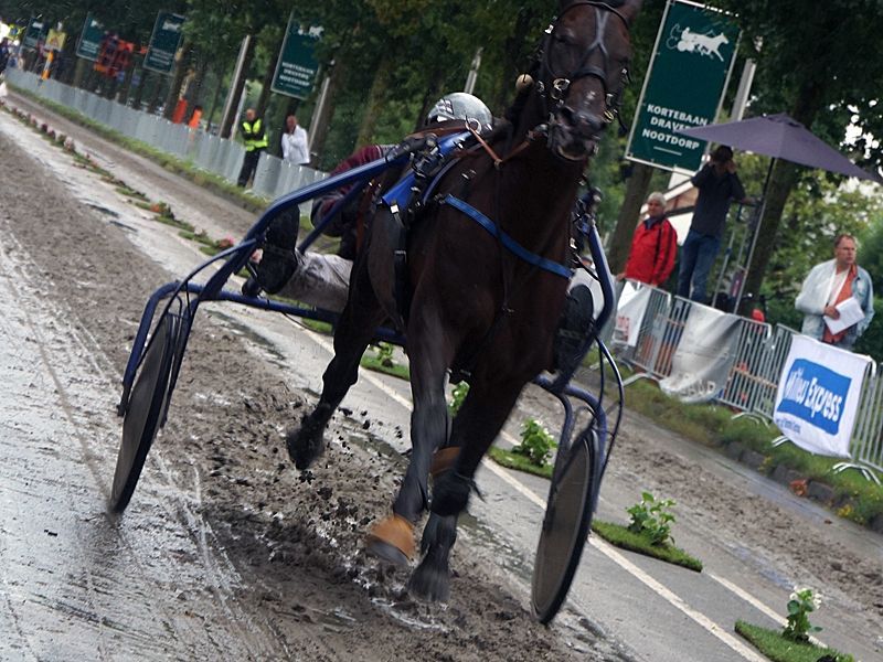 Zilveren zweep voor winnaar kortebaan