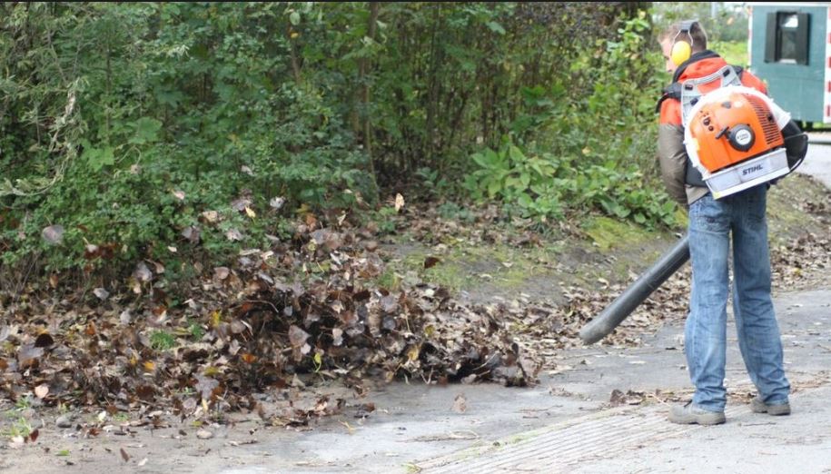 Bladeren vallen van de bomen en wat nu ?