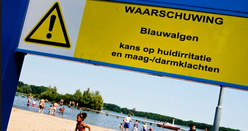 Blauwalg in De Put aanpakken, desnoods in volgend college