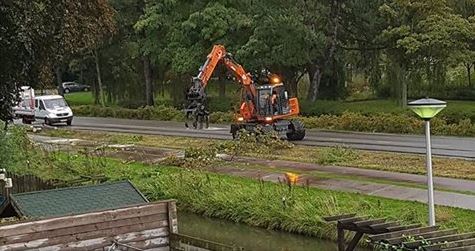 Bomen langs Churchilllaan worden vervangen
