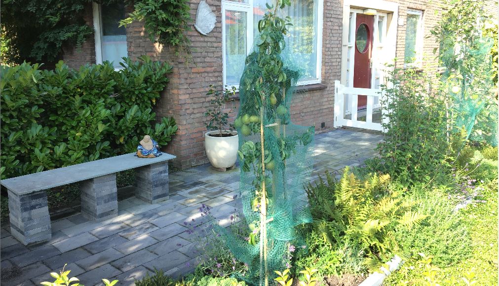 Goed perenjaar in Rijswijk, dat wordt smullen