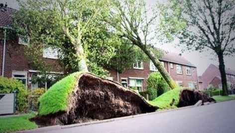 Storm en wateroverlast: wie bel je dan?