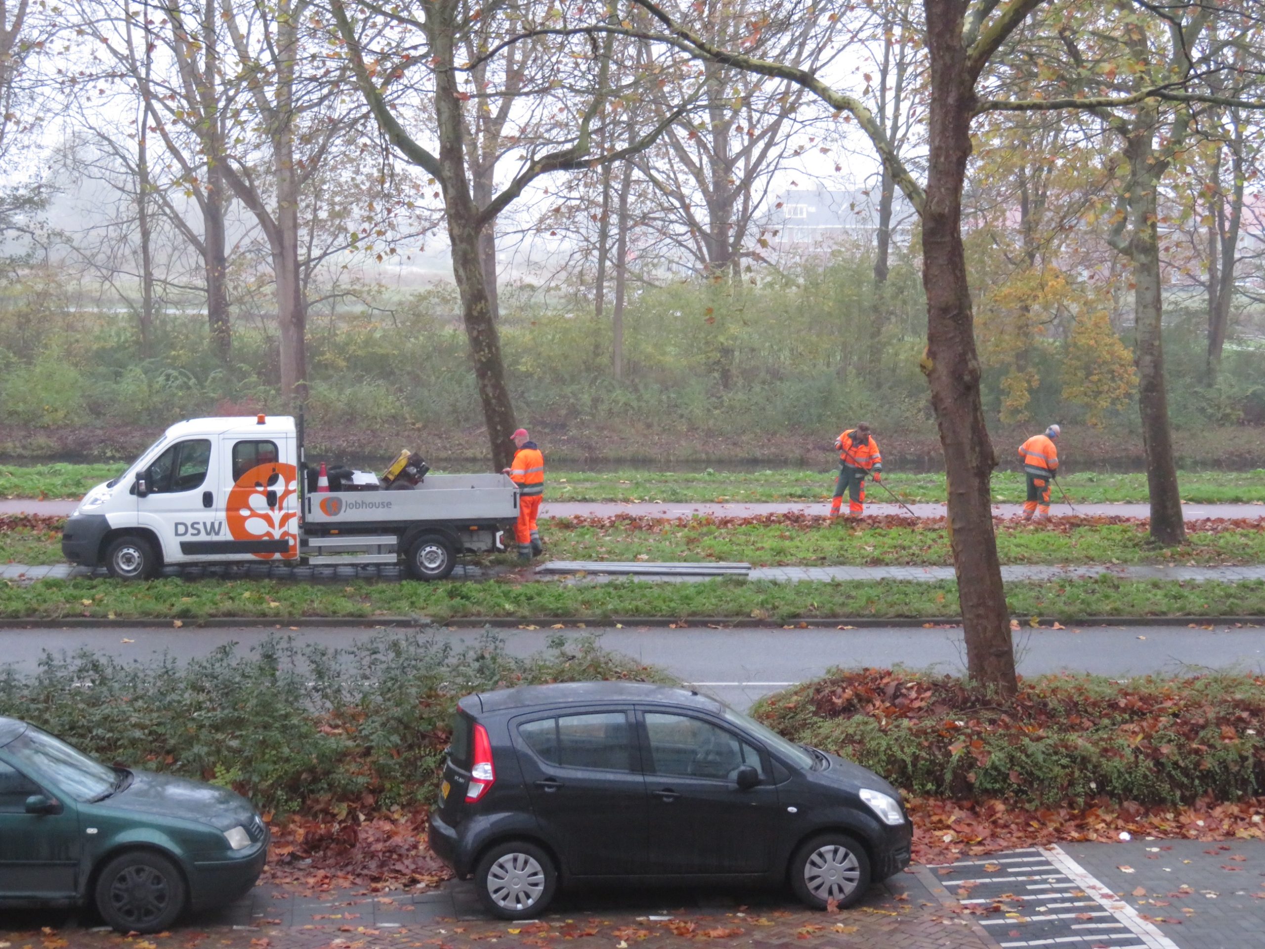Bladeren vallen van bomen en worden opgeruimd Bladeren vallen van bomen en worden opgeruimd