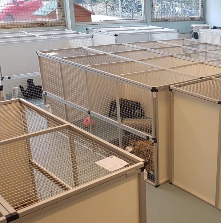 Knaaghof krijgt geld voor renovatie dierenkamer