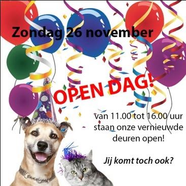 Langverwachte Open Dag asiel Julialaantje