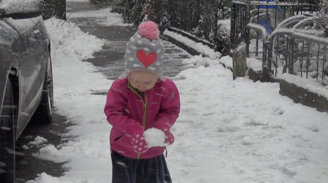 VIDEO: Sneeuw in Rijswijk