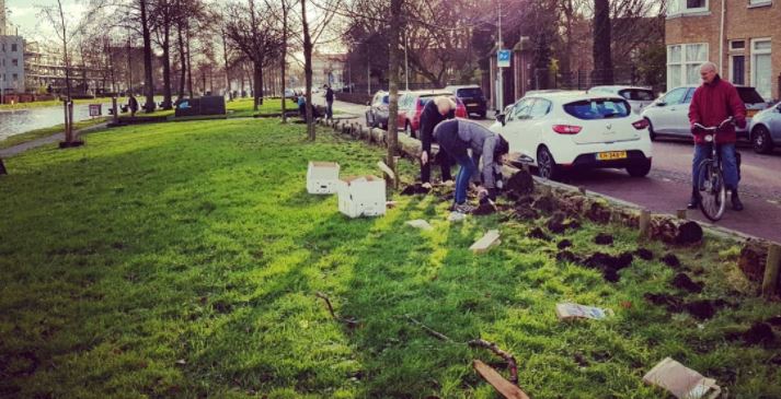 Bollenpracht aan de Vliet