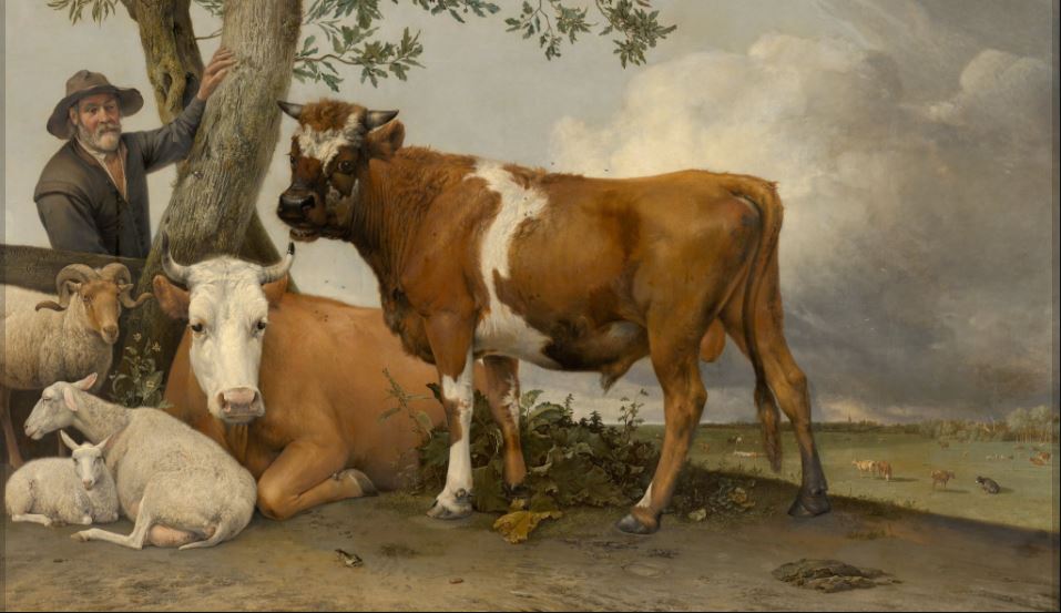 De Stier van Potter leefde in Rijswijk