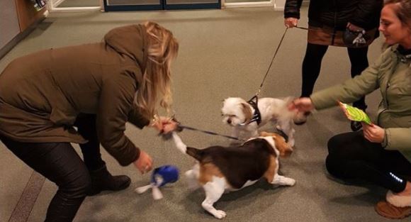 DIVA IS TERUG BIJ HAAR BAASJE ASHLEY