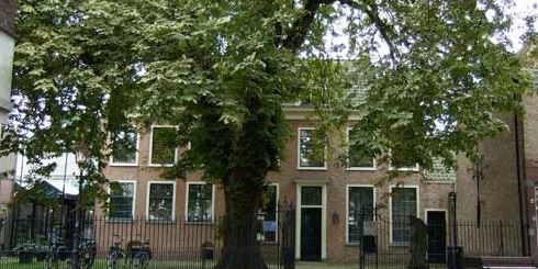 Kastanjeboom van Rijswijks museum blijft staan