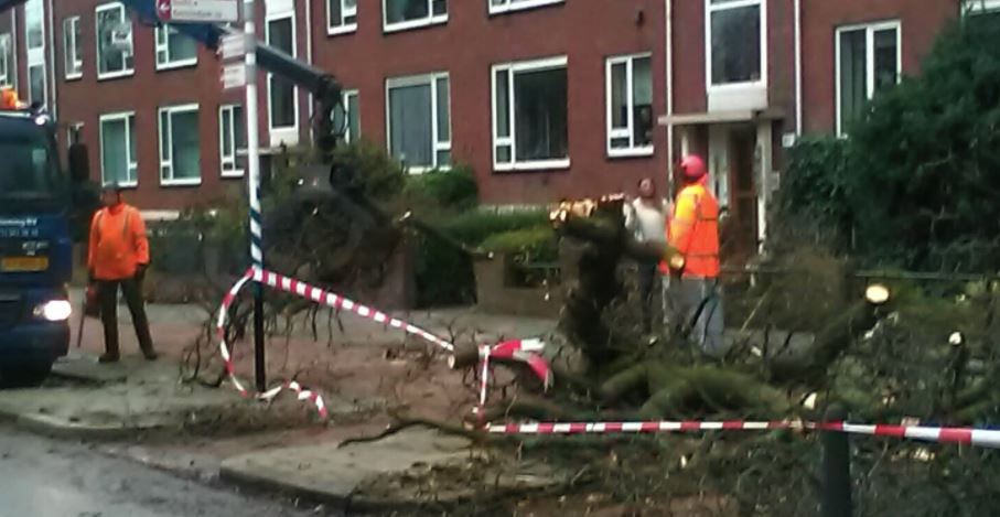 Stormschade in Rijswijk