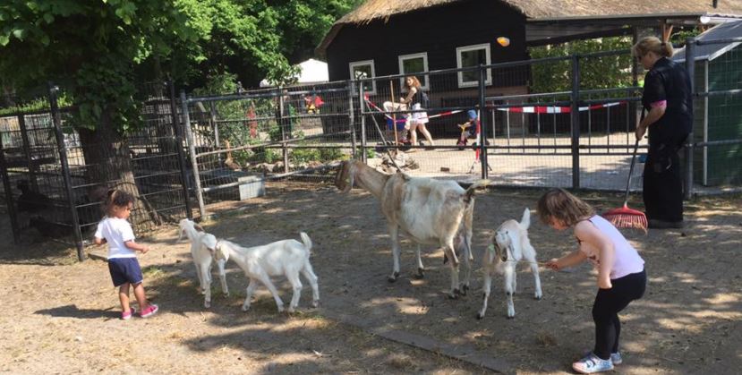 VIDEO: Kinderboerderij heeft nieuwe horeca