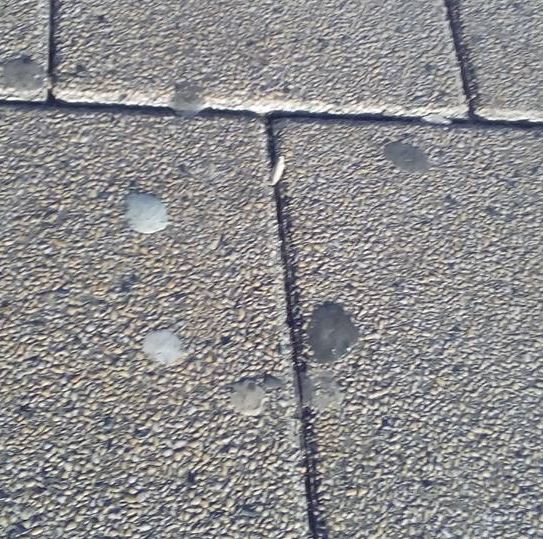 Kauwgom blijft één van de grotere ergernissen in Rijswijk