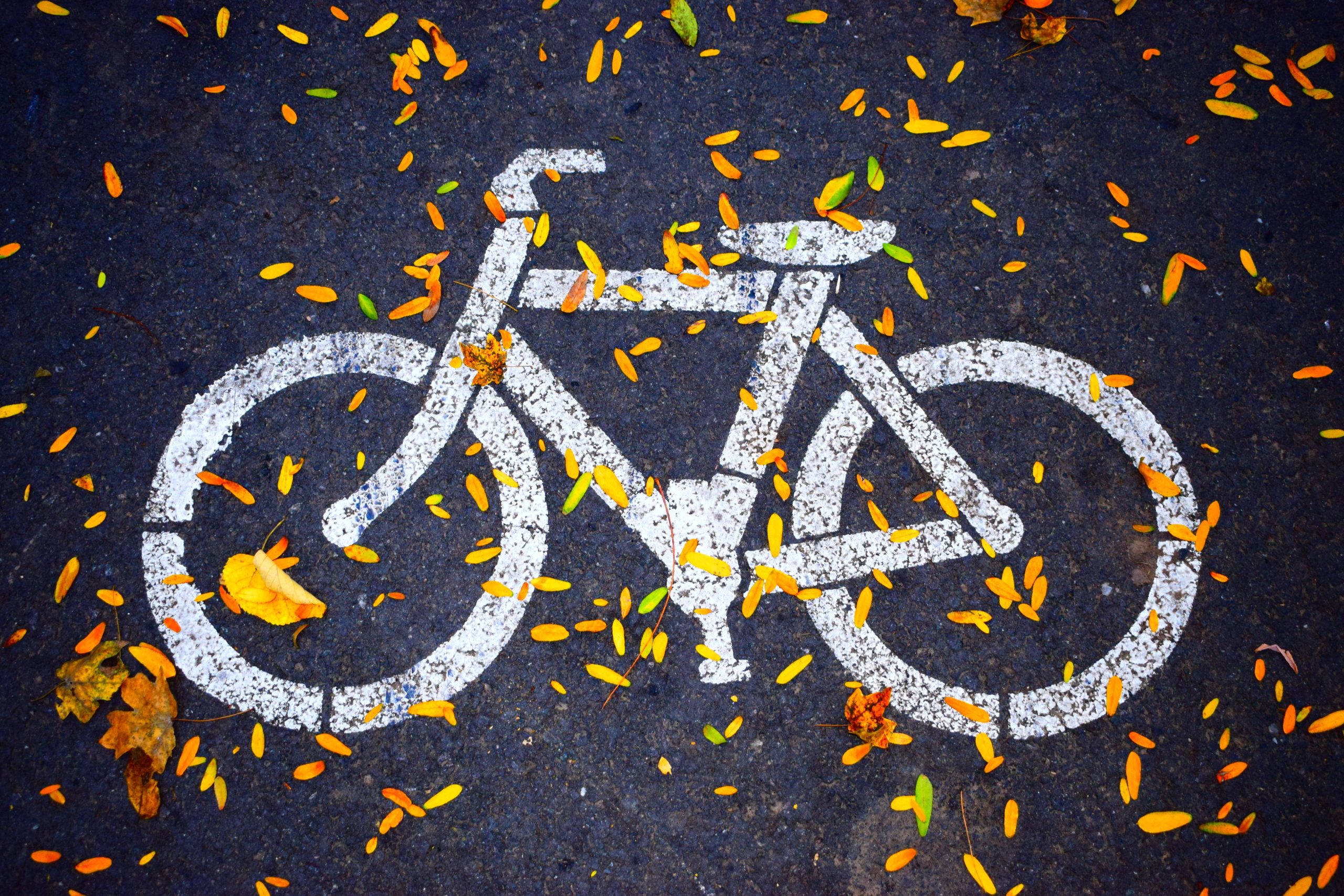 Fietsen als gast op paden rondom scholen Koningshof Fietsen als gast op paden rondom scholen Koningshof
