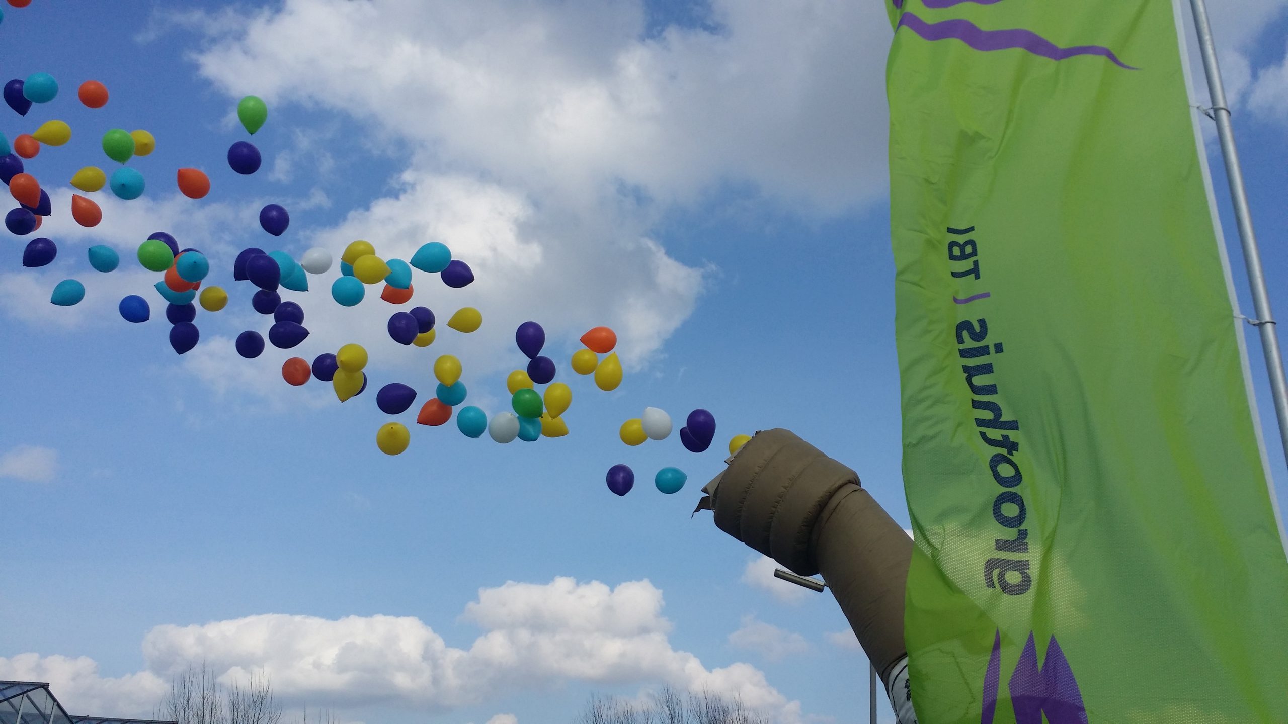 Ballonnen en champagne bij Tuinen van Pijnacker