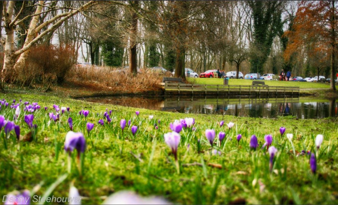 Voorjaar in Rijswijk